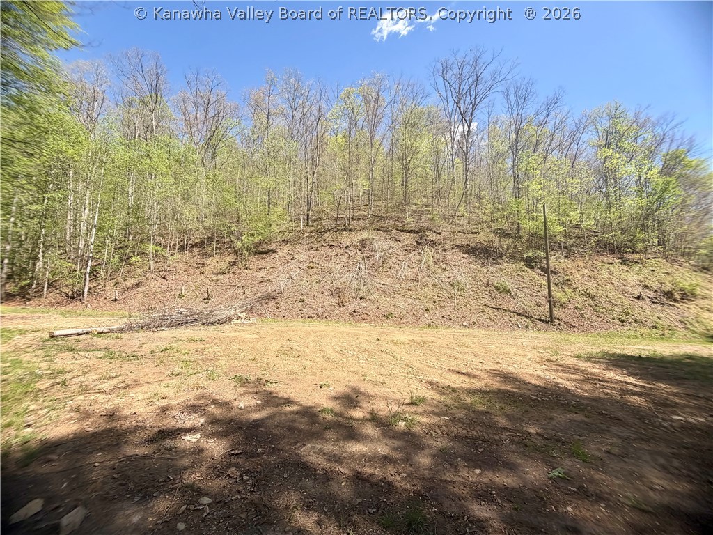 469 Tims Frk Road Chapmanville, WV 25508 - Photo 10 of 30 Gallery Image 10