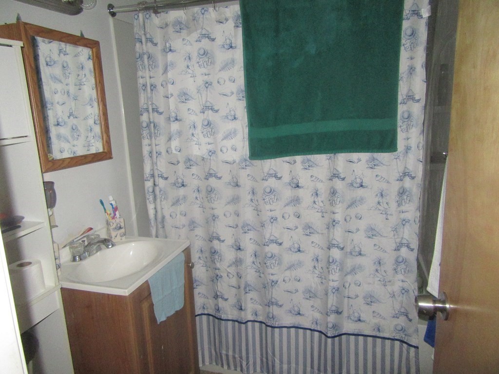 47 White Street Springfield, MA 01108 - Photo 8 of 16 a bathroom with a sink and a mirror
