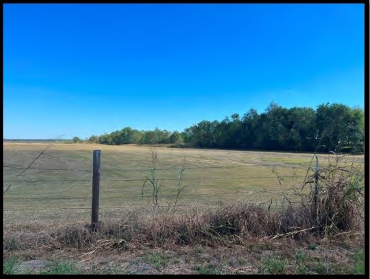 0 Tx-146 Dayton, TX 77535 - Photo 8 of 11