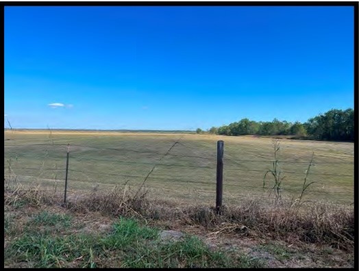 0 Tx-146 Dayton, TX 77535 - Photo 9 of 11