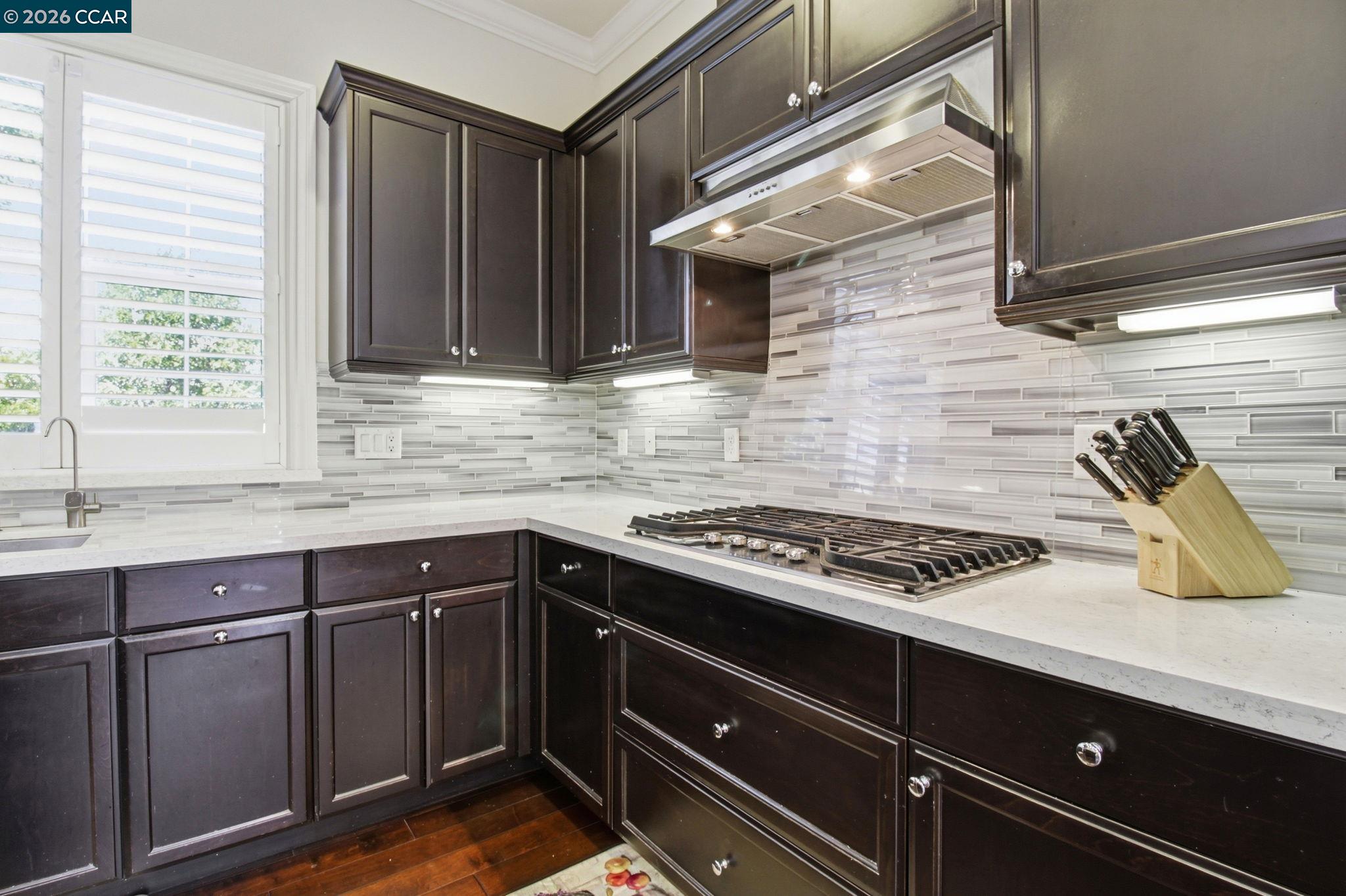 1365 Bayberry View Lane San Ramon, CA 94582 - Photo 7 of 43