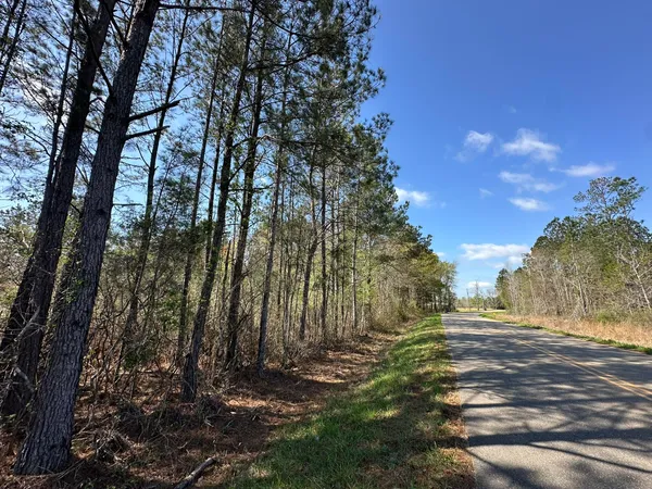 $169,900 | Lot A Lot A Snider Avenue, Frisco City, AL 36445