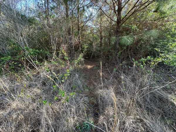 $169,900 | Lot A Lot A Snider Avenue, Frisco City, AL 36445