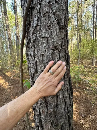 $169,900 | Lot A Lot A Snider Avenue, Frisco City, AL 36445