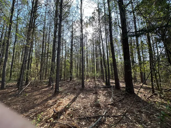 $169,900 | Lot A Lot A Snider Avenue, Frisco City, AL 36445