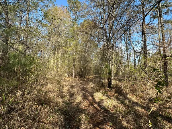$169,900 | Lot A Lot A Snider Avenue, Frisco City, AL 36445