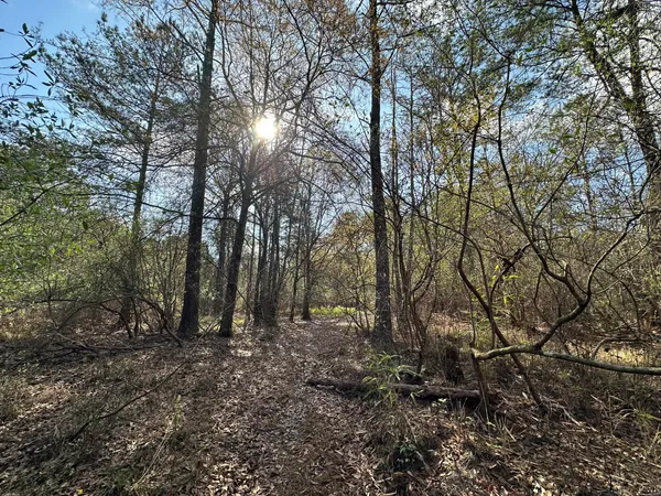 $169,900 | Lot A Lot A Snider Avenue, Frisco City, AL 36445