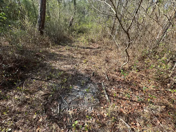 $169,900 | Lot A Lot A Snider Avenue, Frisco City, AL 36445