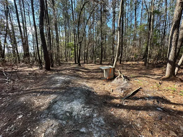 $169,900 | Lot A Lot A Snider Avenue, Frisco City, AL 36445