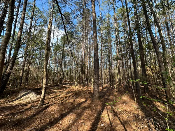 $169,900 | Lot A Lot A Snider Avenue, Frisco City, AL 36445