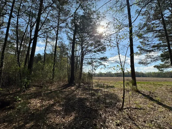 $169,900 | Lot A Lot A Snider Avenue, Frisco City, AL 36445