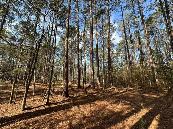 $169,900 | Lot A Lot A Snider Avenue, Frisco City, AL 36445