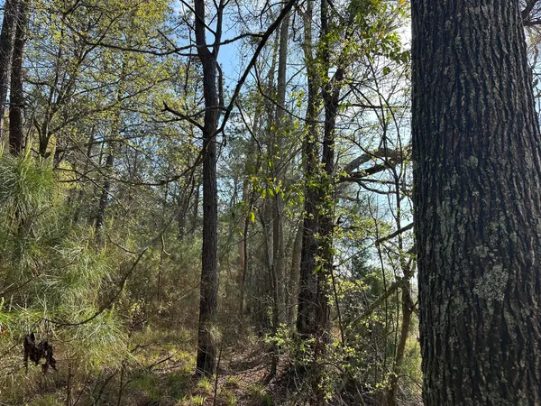 $169,900 | Lot A Lot A Snider Avenue, Frisco City, AL 36445