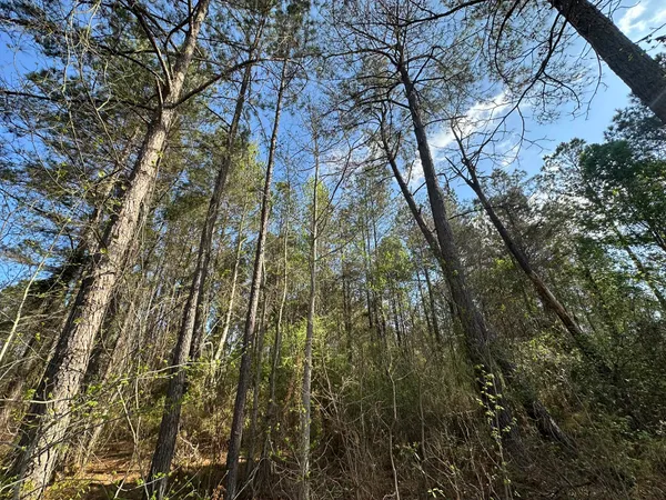 $169,900 | Lot A Lot A Snider Avenue, Frisco City, AL 36445