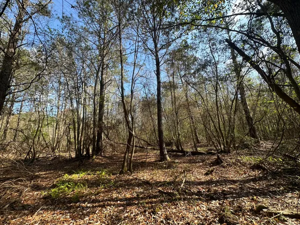 $169,900 | Lot A Lot A Snider Avenue, Frisco City, AL 36445