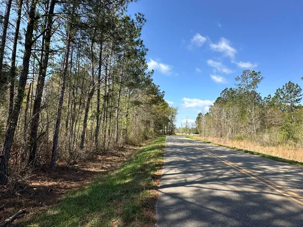 $169,900 | Lot A Lot A Snider Avenue, Frisco City, AL 36445
