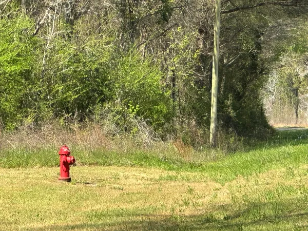 $169,900 | Lot A Lot A Snider Avenue, Frisco City, AL 36445