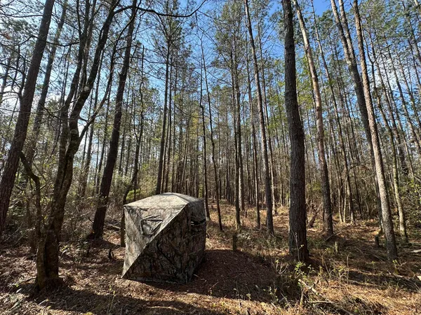 $169,900 | Lot A Lot A Snider Avenue, Frisco City, AL 36445