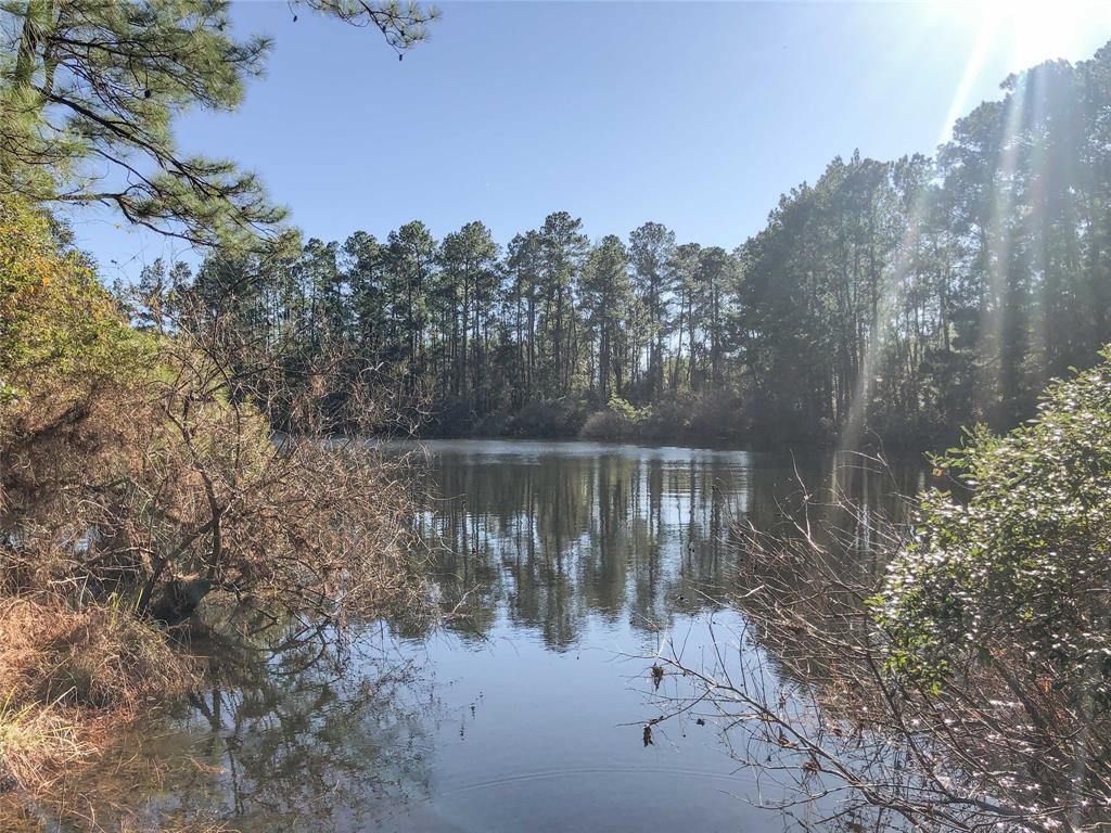 0 Farm To Market 352 Corrigan Tx  