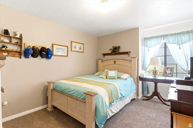 5321 South 3100th Street West Roy, UT 84067 - Photo 44 of 64 Carpeted room featuring neutral wall paint, white baseboards, a window with muntins, and a ceiling light fixture