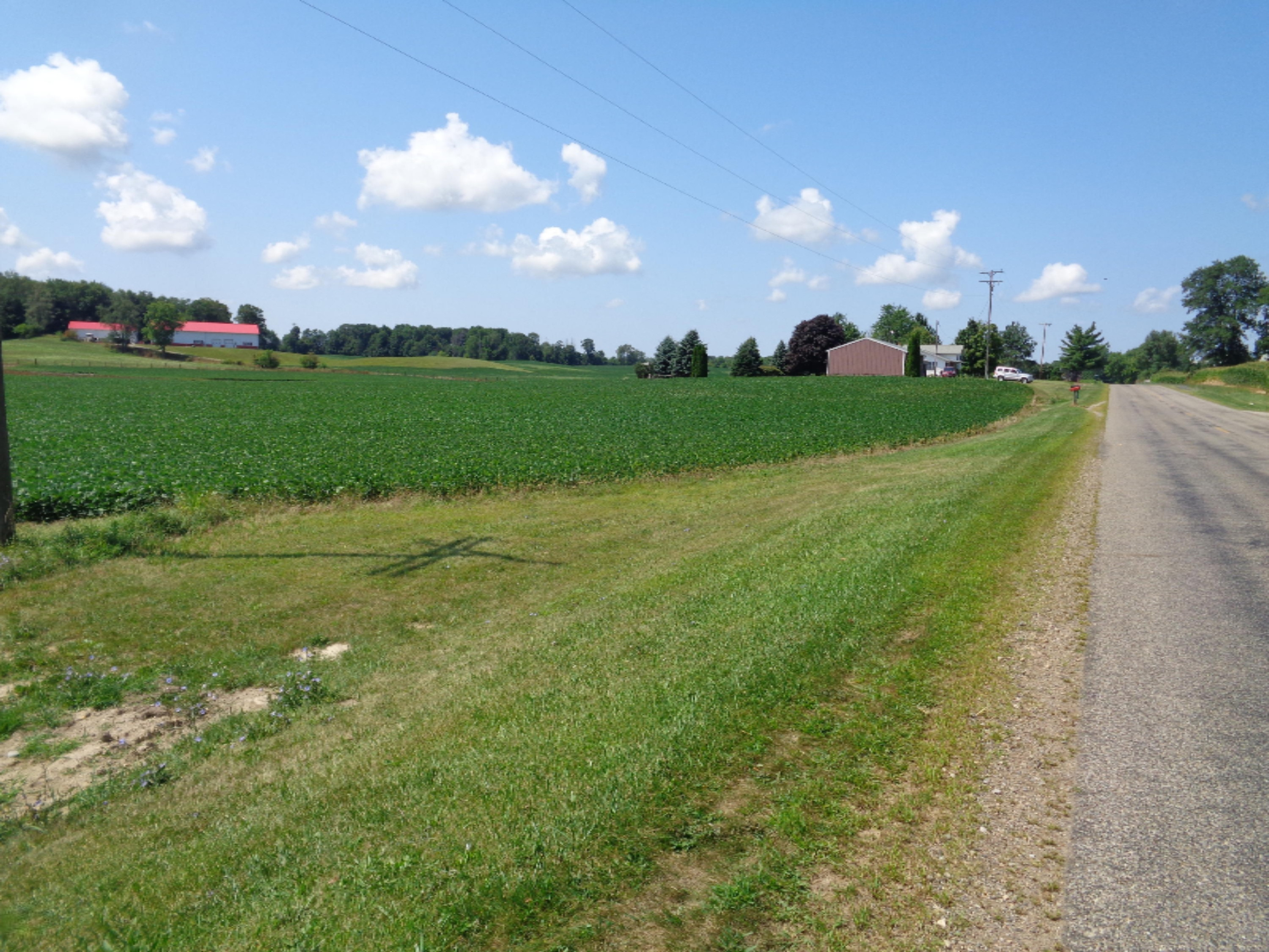 0 North Adams Road North Adams, MI 49262 - Photo 2 of 2 DSC04716