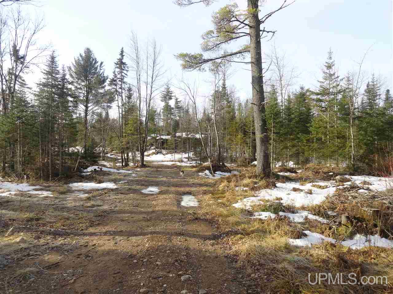 116-acres 116-acres Co Road Negaunee, MI 49866 - Photo 25 of 37