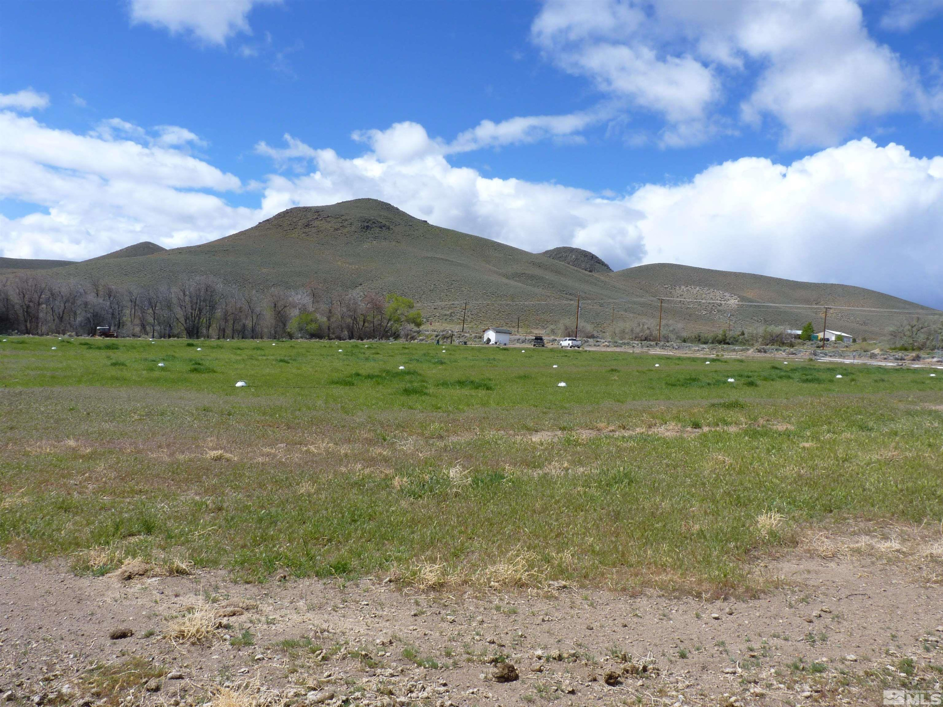 10 Lower Colony Road Wellington, NV 89444 - Photo 12 of 23 a view of an outdoor space with mountain view