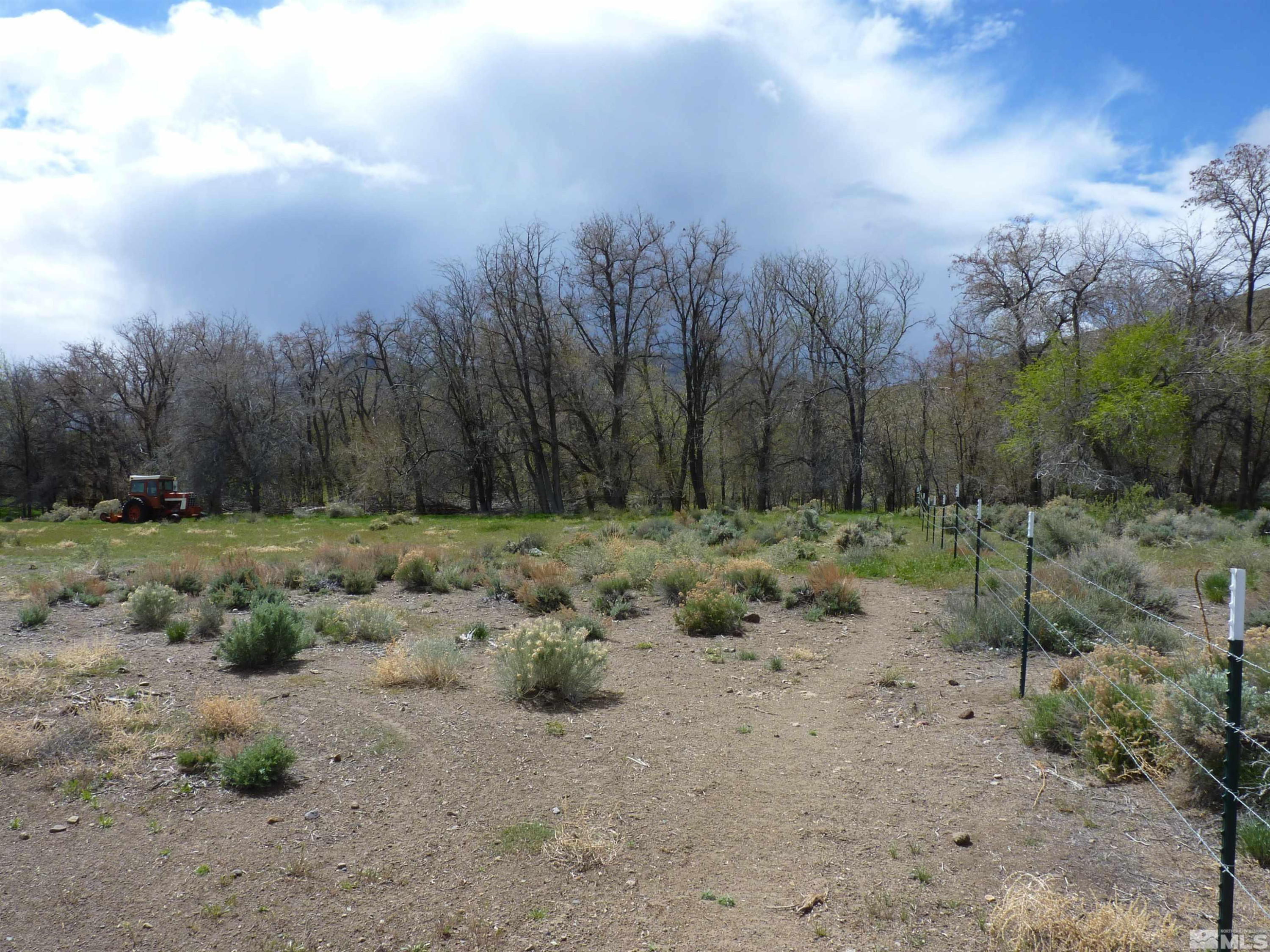 10 Lower Colony Road Wellington, NV 89444 - Photo 17 of 23 a view of a dry yard with trees in the background