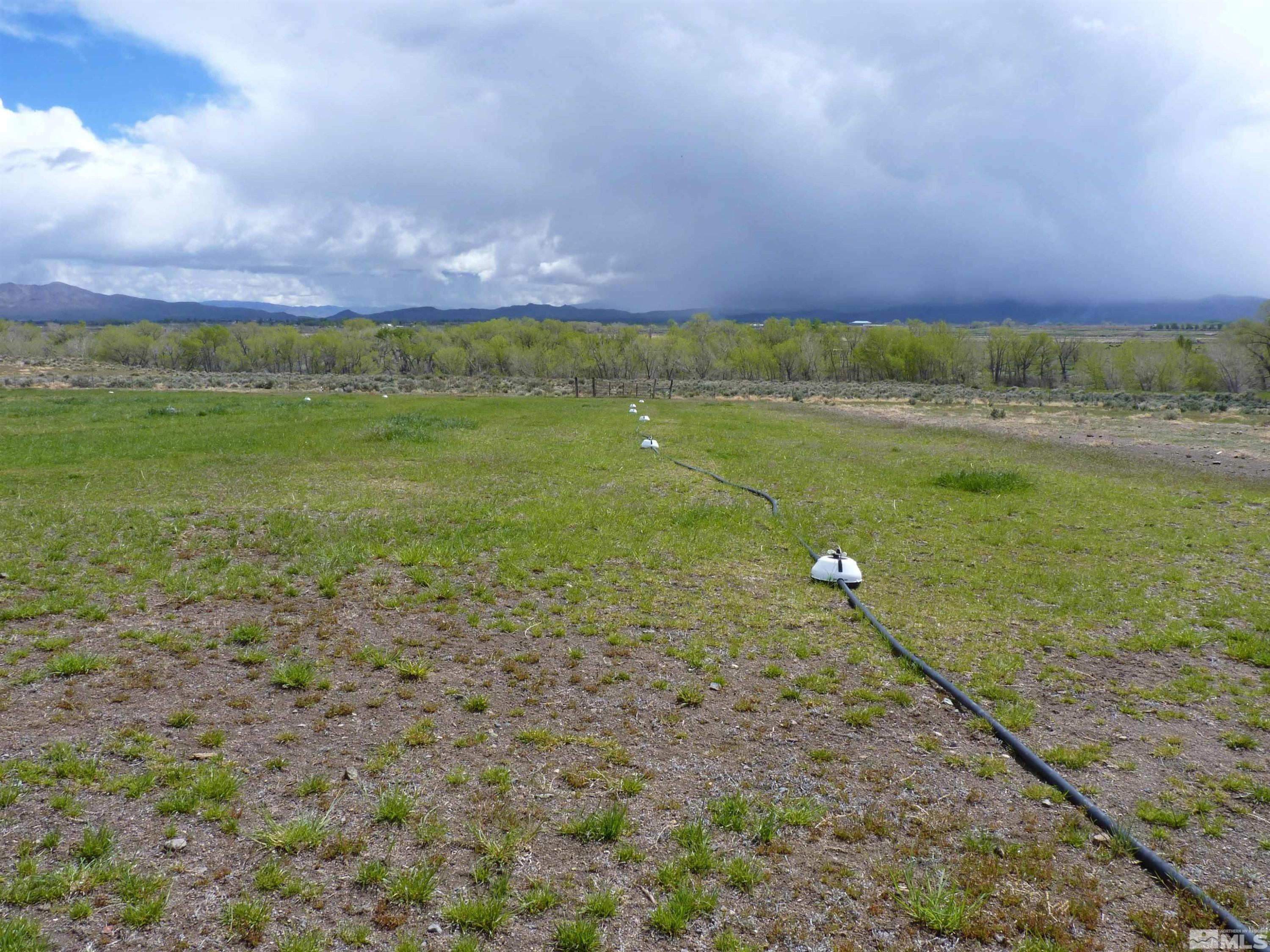 10 Lower Colony Road Wellington, NV 89444 - Photo 18 of 23 a view of a yard with a house in the background