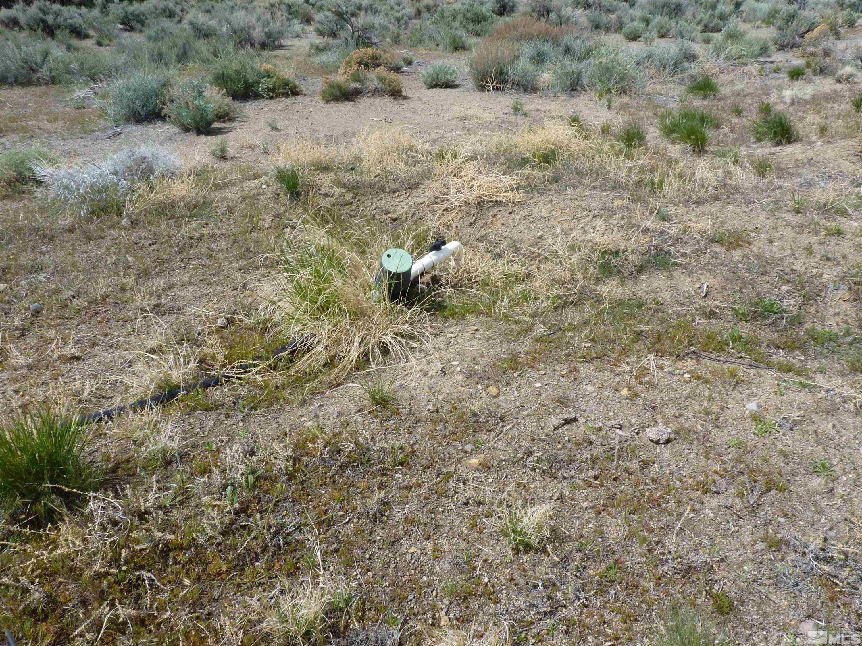 10 Lower Colony Road Wellington, NV 89444 - Photo 19 of 23 a view of a dry yard with green space and fog