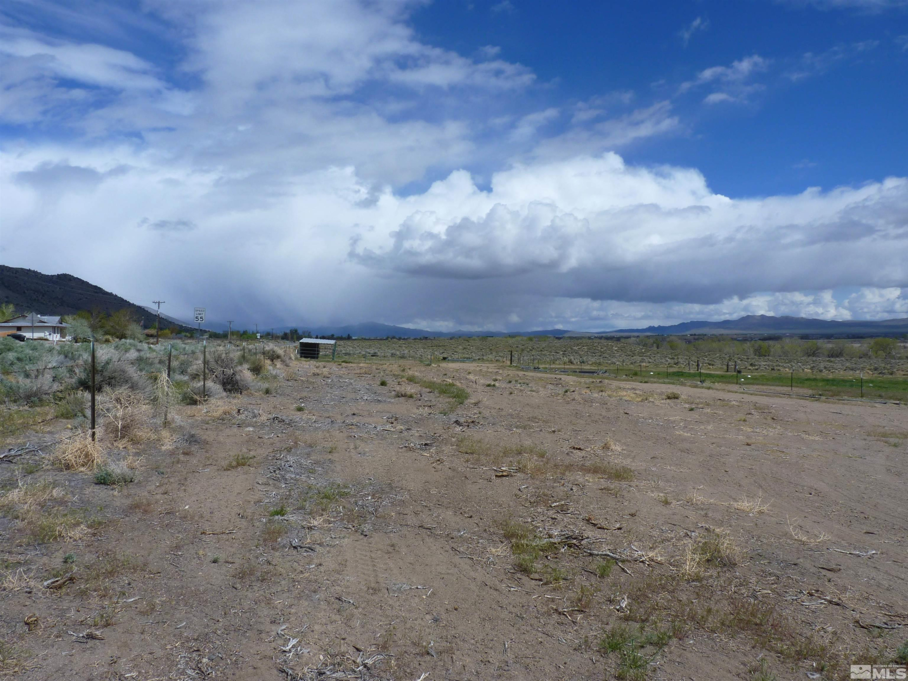 10 Lower Colony Road Wellington, NV 89444 - Photo 21 of 23 a view of a dry yard with trees in the background
