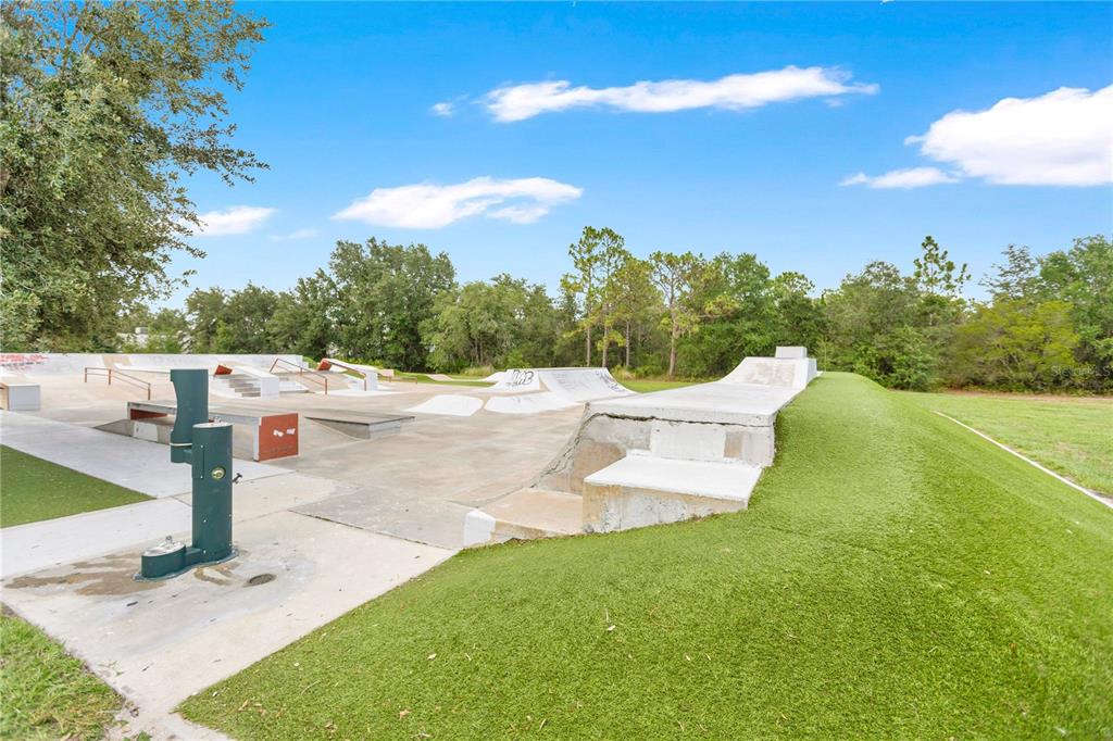 5834 Tanagerlake Road Lithia, FL 33547 - Photo 21 of 28 Gallery Image 21