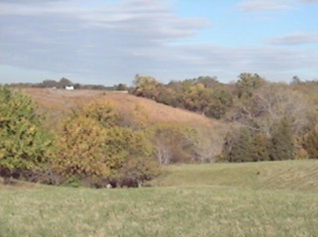 Lot E Grebner Road Metamora, IL 61548 - Photo 1 of 9 Gallery Image 1