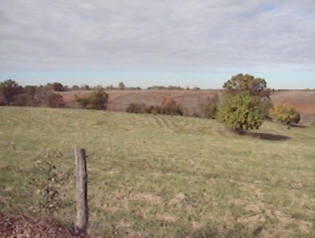 Lot E Grebner Road Metamora, IL 61548 - Photo 3 of 9 Gallery Image 3