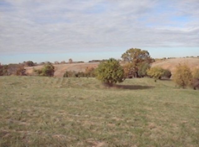 Lot E Grebner Road Metamora, IL 61548 - Photo 5 of 9 Gallery Image 5