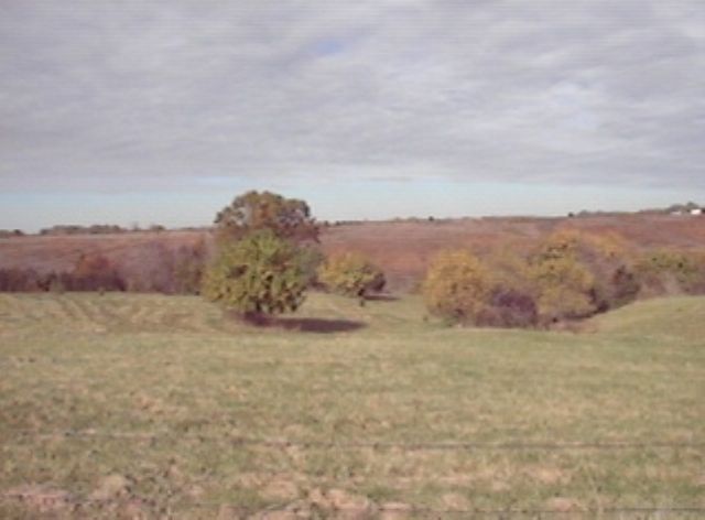 Lot E Grebner Road Metamora, IL 61548 - Photo 6 of 9 Gallery Image 6