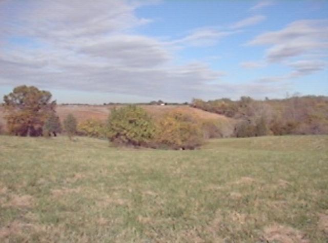 Lot E Grebner Road Metamora, IL 61548 - Photo 7 of 9 Gallery Image 7