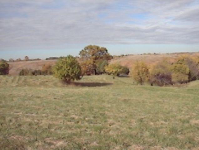 Lot E Grebner Road Metamora, IL 61548 - Photo 9 of 9 Gallery Image 9