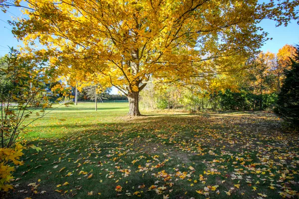 $195,000 | 303 Spring Street, Constantine, MI 49042