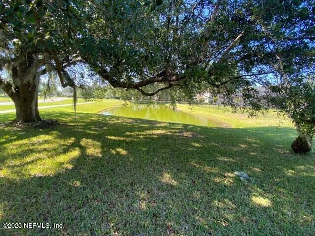 3301 Turkey Creek Drive Green Cove Springs, FL 32043 - Photo 28 of 36 a view of an trees with a yard