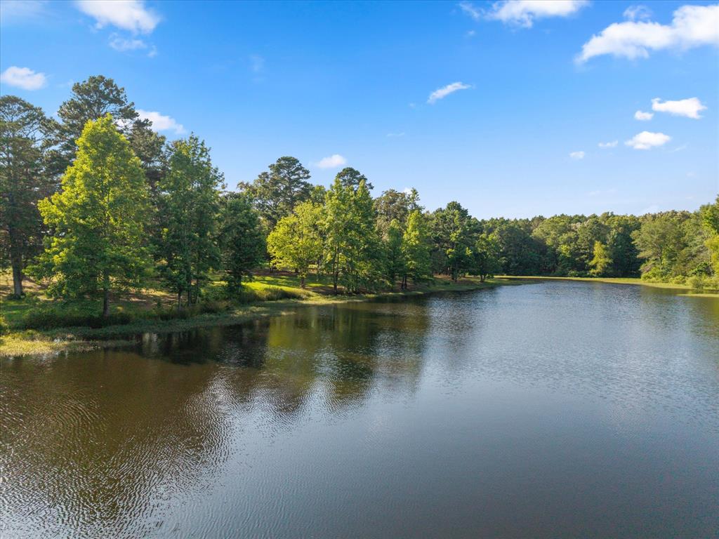 4940 North Frontage Road Winfield, TX 75455 - Photo 13 of 40 Imagine fishing early in the morning just you and nature...