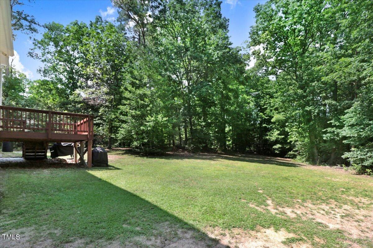 1304 Double Oak Lane Willow Spring, NC 27592 - Photo 37 of 46 a view of a park with large trees