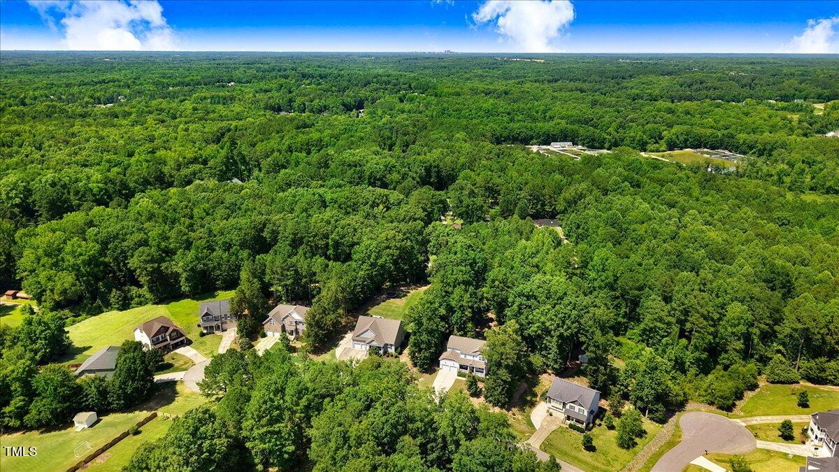 1304 Double Oak Lane Willow Spring, NC 27592 - Photo 41 of 46 a view of a field of grass and trees