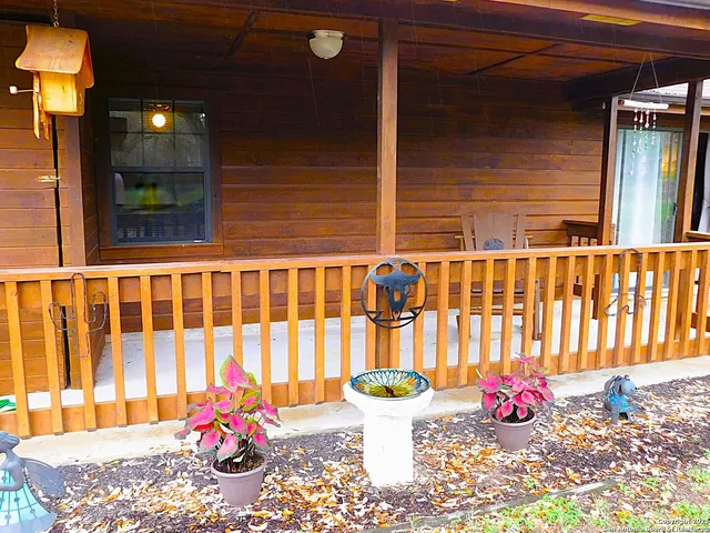 a outdoor space with blue flowers