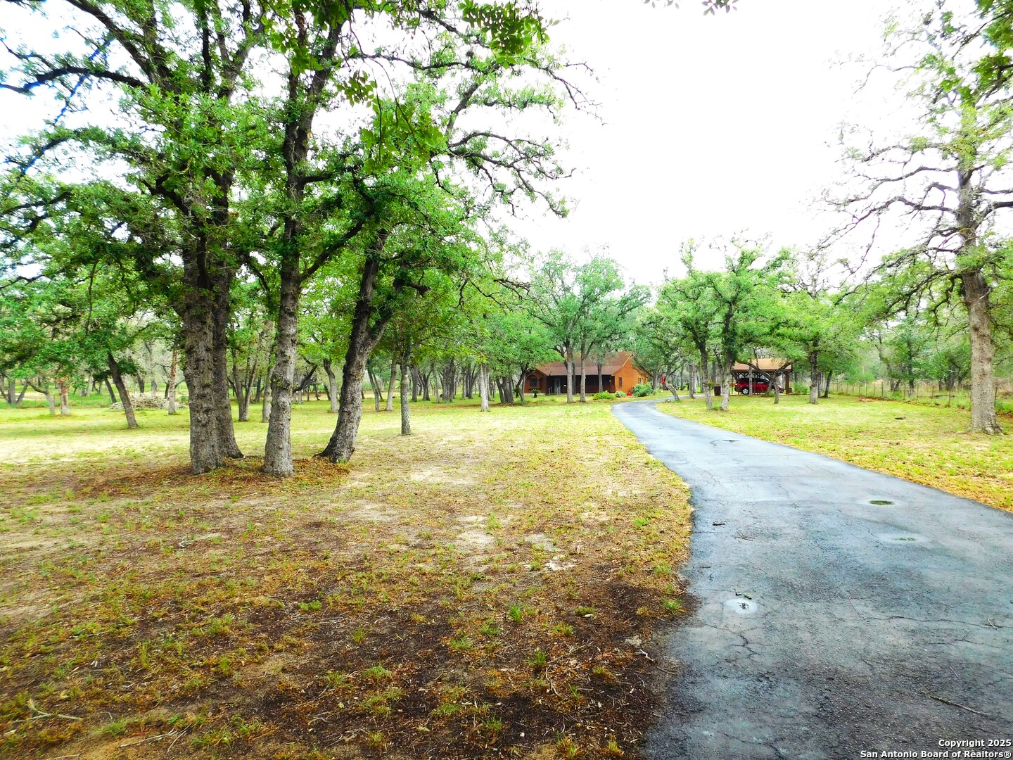 525 Cherry Ridge Floresville, TX 78114 - Photo 3 of 35 a view of outdoor space with trees all around