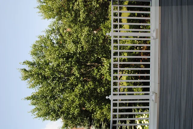 a view of a wooden roof deck