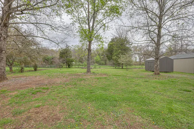 a view of a tree in a yard