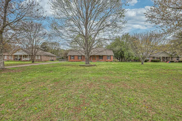 a view of a park with large trees