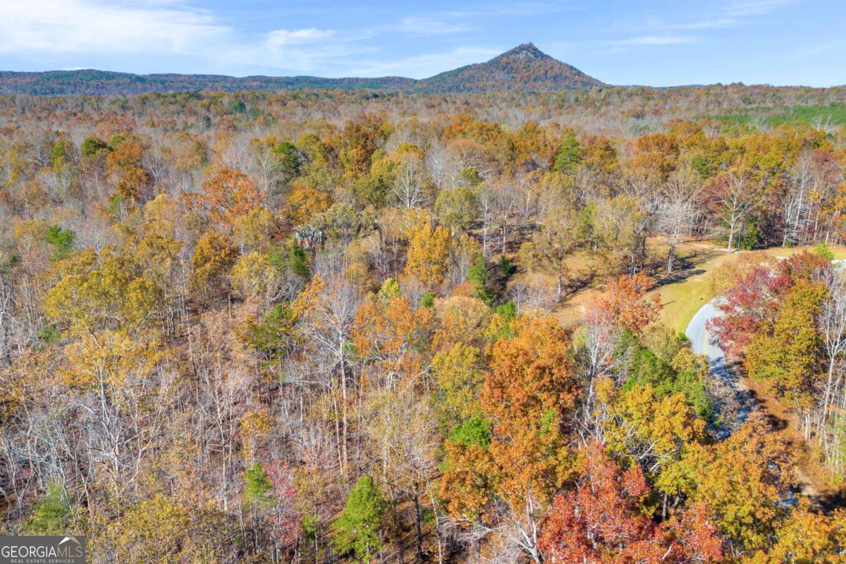Lot 12 North Hicks Road Toccoa, GA 30577 - Photo 17 of 25