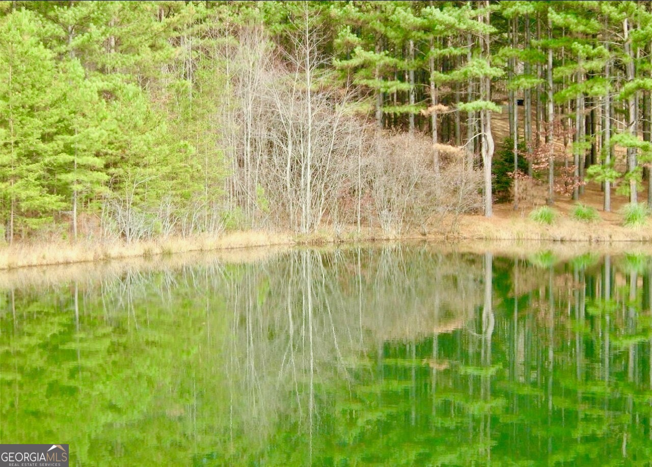 a view of pool of water with lawn chairs and large trees